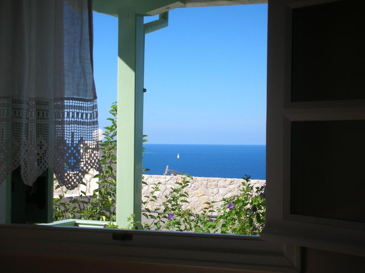 Apartment Deep Blue-daphne